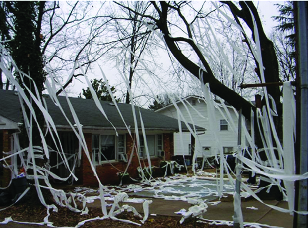 rolls of toilet paper over/around/in trees, on cars, over the house, and on the lawn Image courtesy of the artist