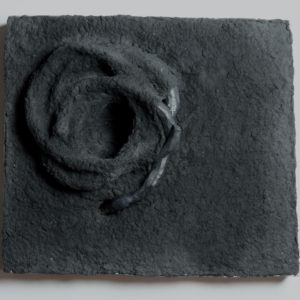 Virginia Torrence: Untitled (Snakes) + Vol. 3 + Flex disk by Bridget Frances Quinn + Letterpress insert by Samantha Papuga